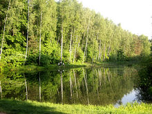 Biryulyovskiy arboretum.jpg