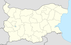 Трын (Болгария)